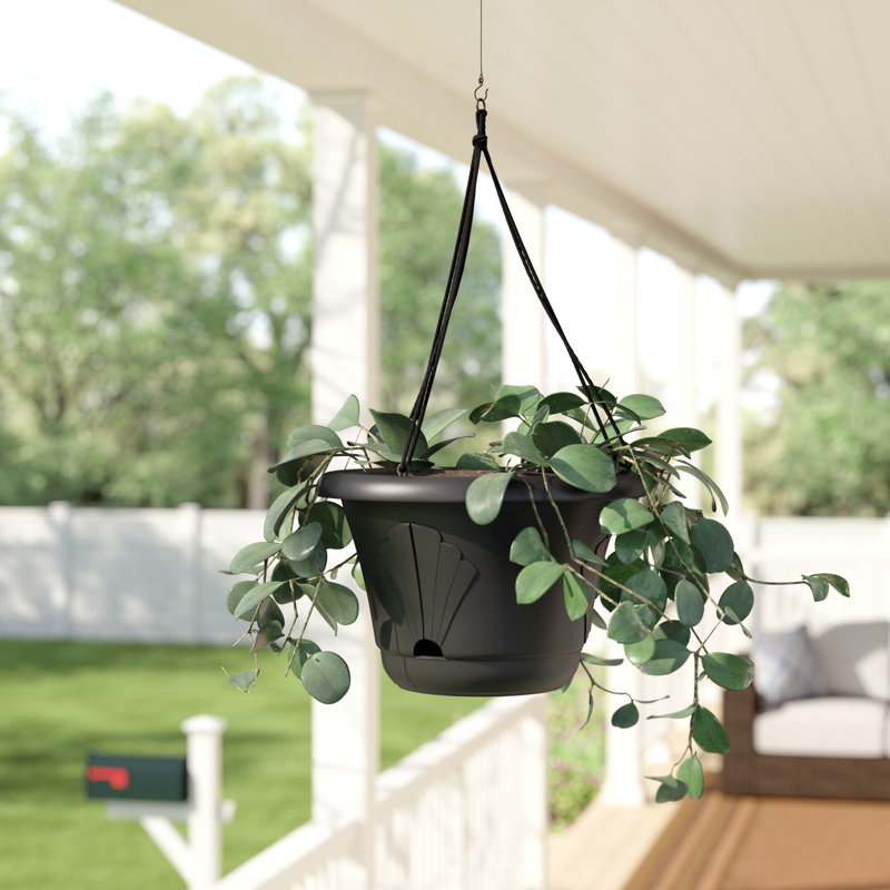Sol 72 Outdoor Elaina SelfWatering Plastic Hanging Planter & Reviews Wayfair